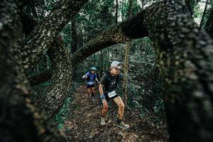 BIB: 
                            <button type="button" onclick="openModal(25392090)" class="btn btn-primary btn-sm float-right btn-popup" data-toggle="modal" data-target=".modal-high-quality">
                        <i class="fas fa-shopping-cart"></i> Add to Cart
                    </button>
                                            <button type="button" onclick="isThisMe(25392090, true)" class="btn btn-success btn-sm float-right btn-popup btn-isme hidden" data-toggle="tooltip" data-placement="bottom" title="นี่คือรูปของคุณใช่ไหม คลิกที่นี่เพื่อเอาเข้าอัลบั้ม">
                        <i class="fas fa-plus"></i> Add to album
                    </button>
                    <button type="button" onclick="isThisMe(25392090, false)" class="btn btn-warning btn-sm float-right btn-popup btn-isnotme hidden">
                        <i class="fas fa-ban"></i> Remove from album
                    </button>